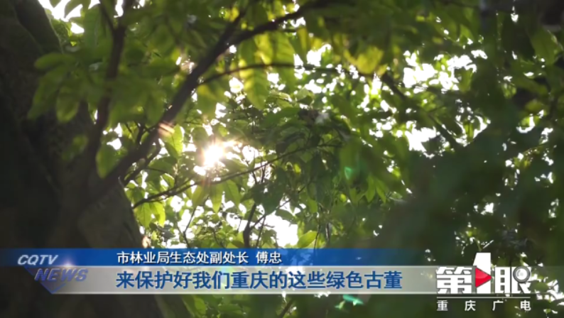 微信圖片_20220407174003