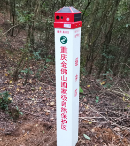 電子界樁