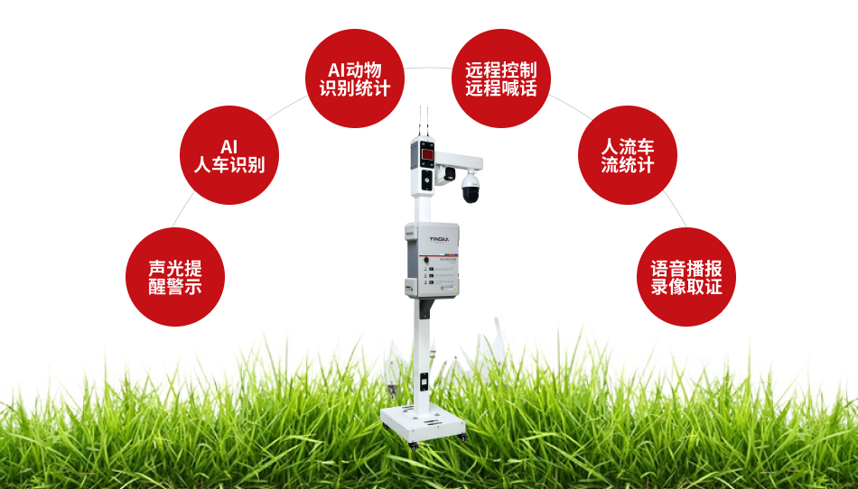 智能視頻卡口