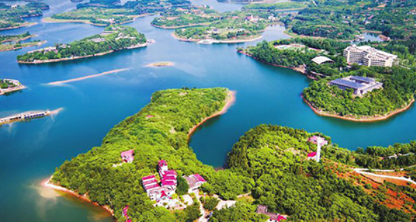 四川成都龍泉驛森林公園—智慧林場(chǎng)