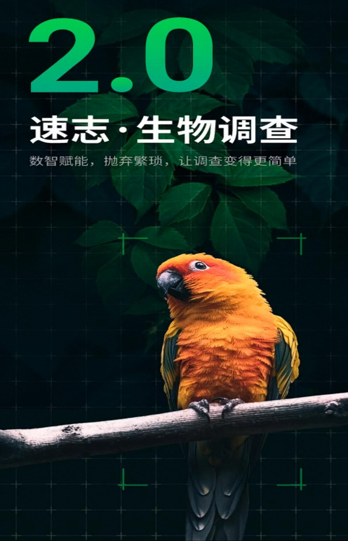圖片1(4)