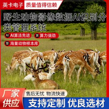 野生動(dòng)物紅外相機(jī)抓拍圖片AI識(shí)別分類(lèi)管理平臺(tái)