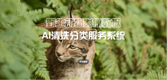 野生動物圖像AI識別分類技術(shù)的應(yīng)用前景和價(jià)值分析 